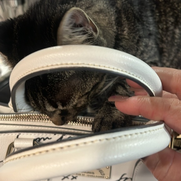 Brand new and she’s a beauty - Picture 3 of 13